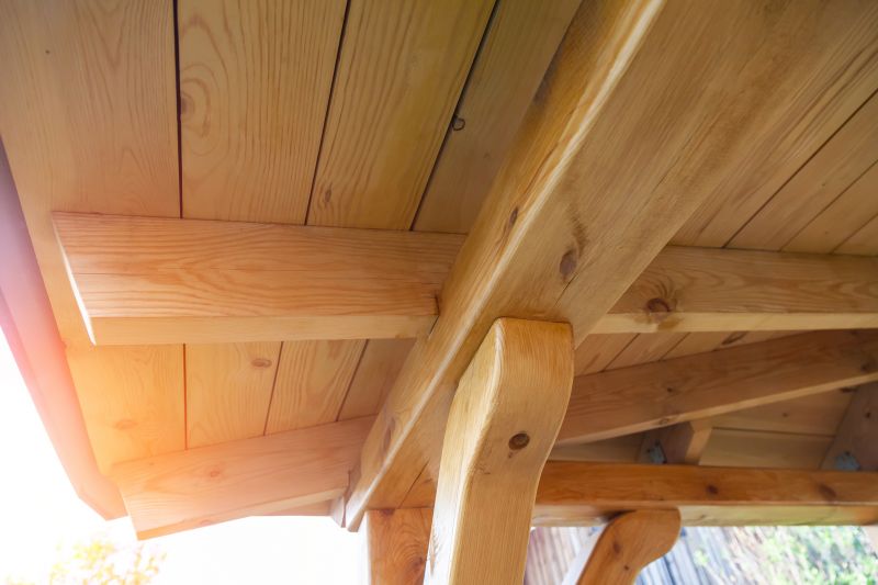 Outdoor Trim Carpentry in Conroe, TX